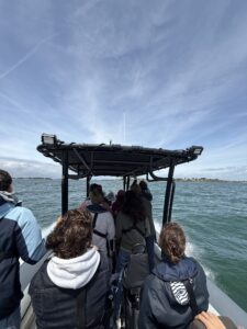 Retour d’expérience : Une journée mémorable entre amis à Houat à bord du Searib’s 9.60 1 SEARIB S 9.60 EXCURSION SEA RENT CONCEPT
